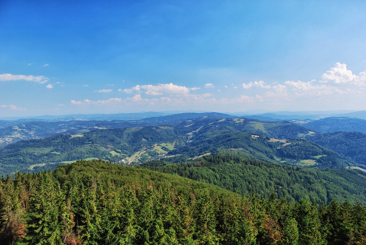 Widok na Beskidy. Wędrówki po górach. Beskid Śląski